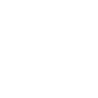 Left arrow icon